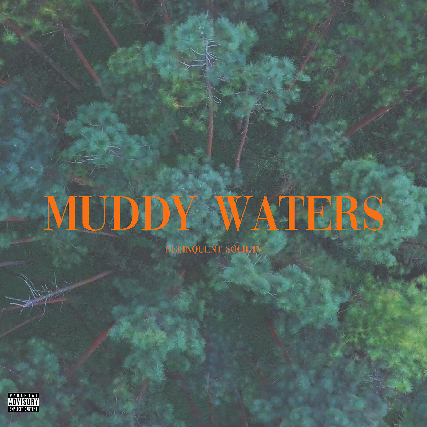 Релиз Muddy Waters