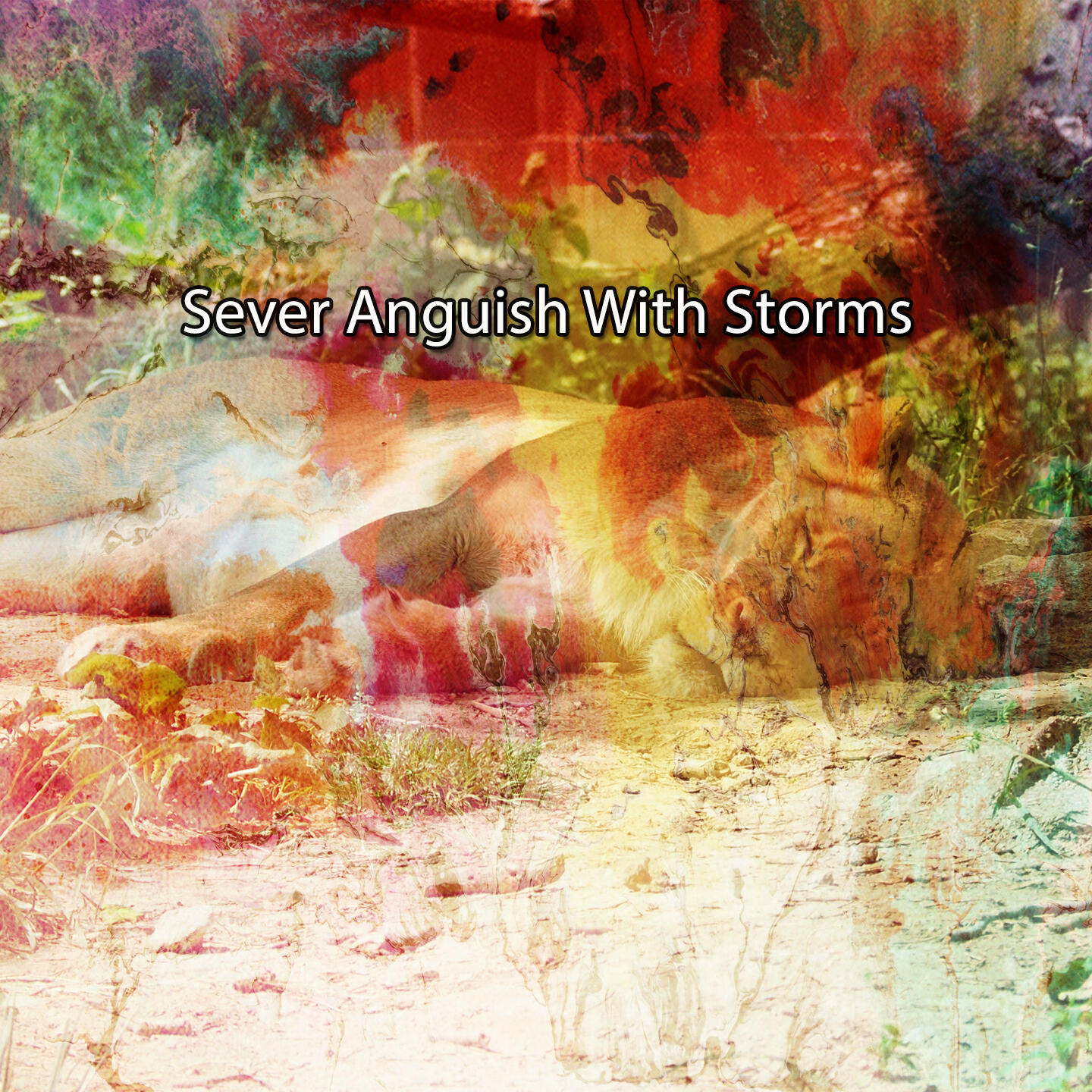 Релиз Sever Anguish With Storms