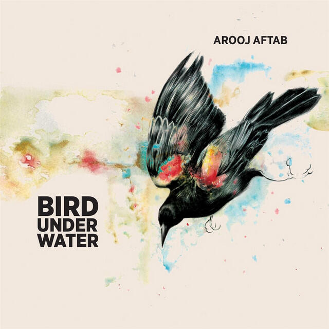 Релиз Bird Under Water