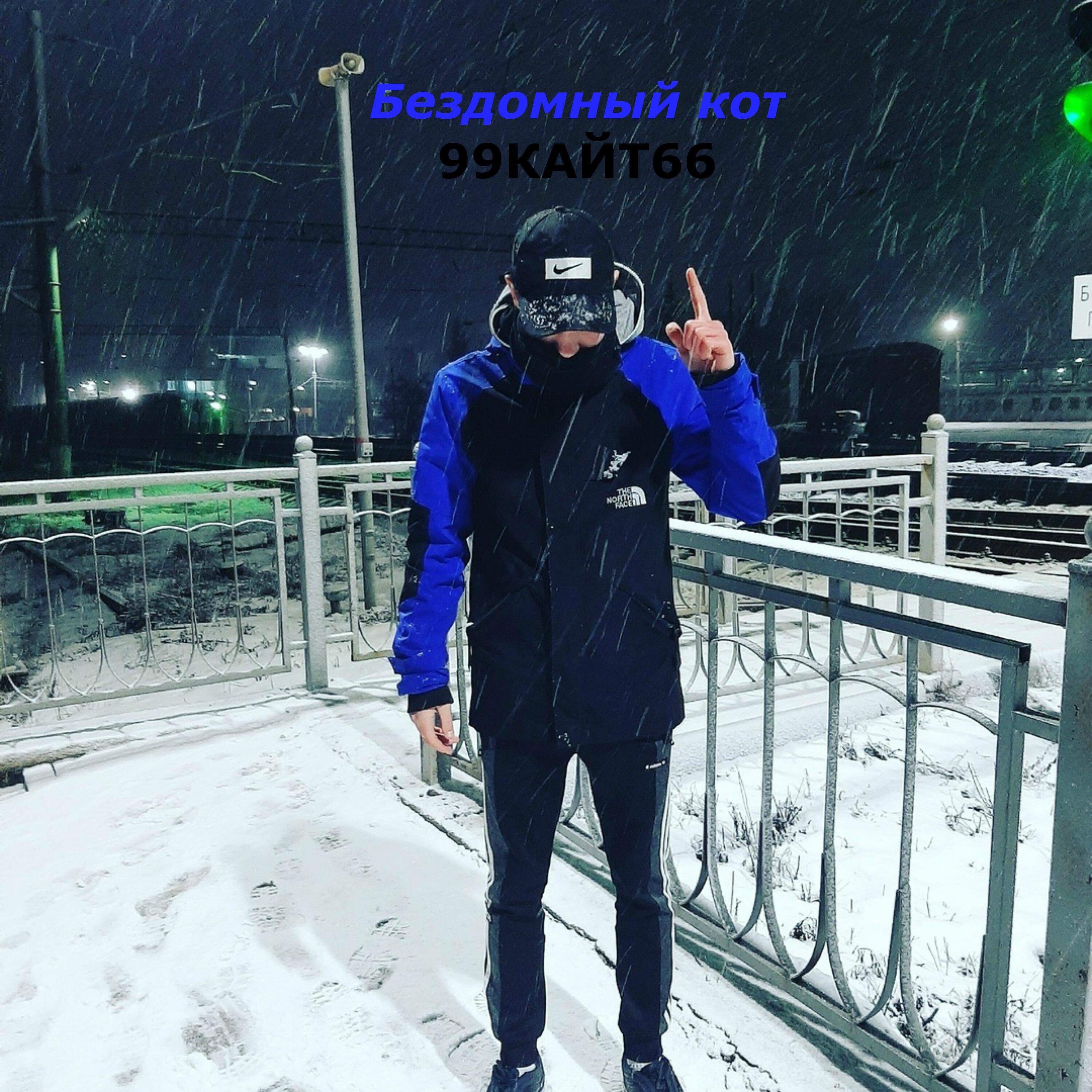 Релиз Бездомный кот