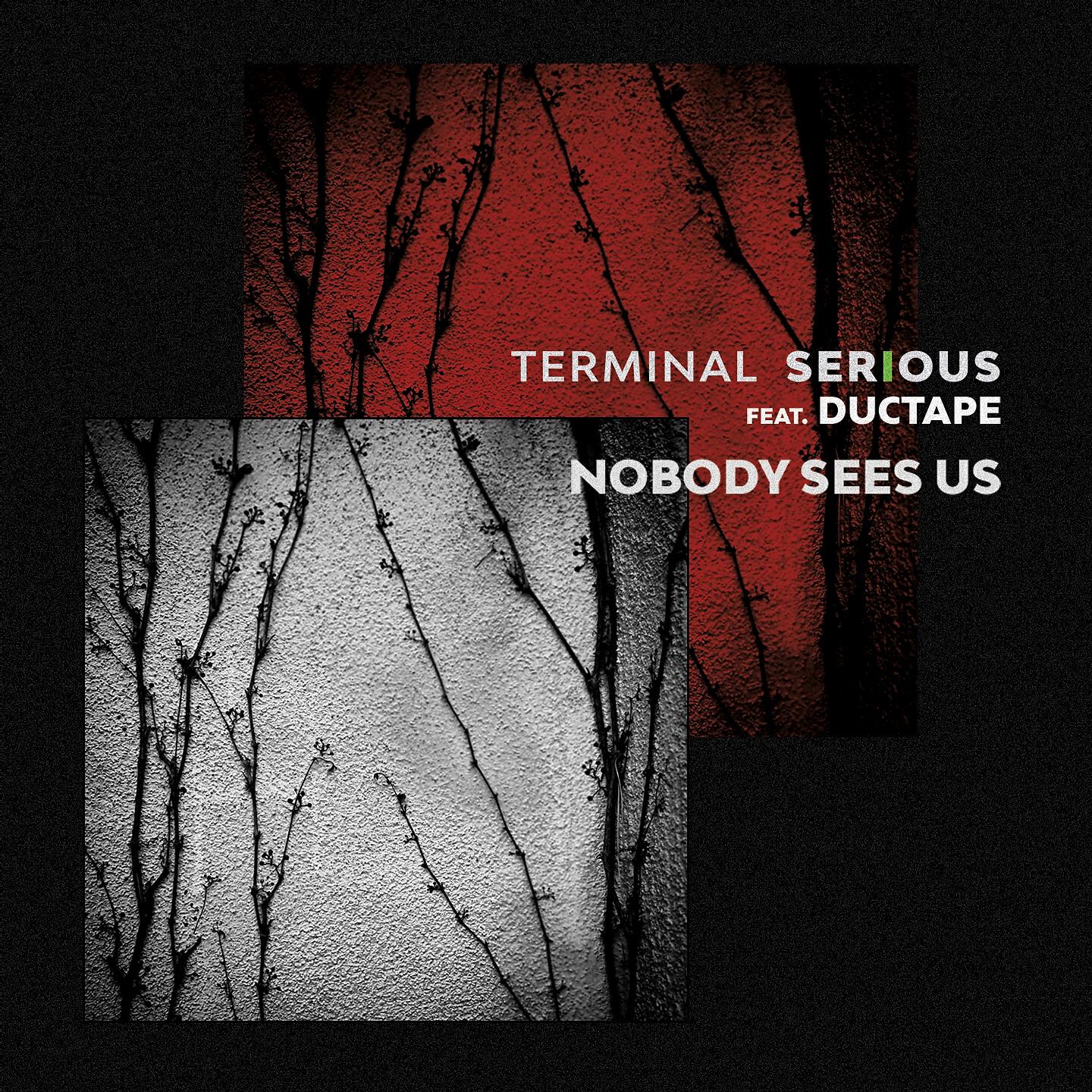 Релиз Nobody Sees Us
