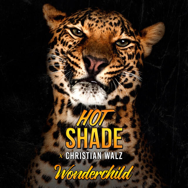 Релиз Wonderchild