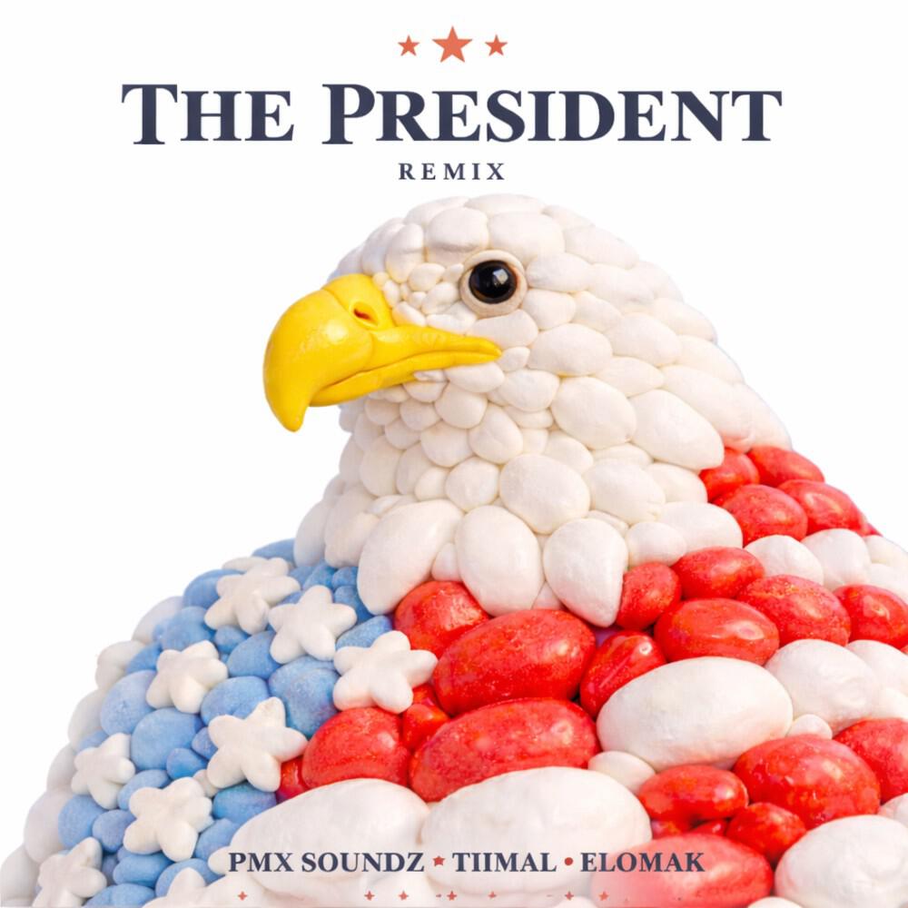 Релиз The President (Pmx Soundz Remix)