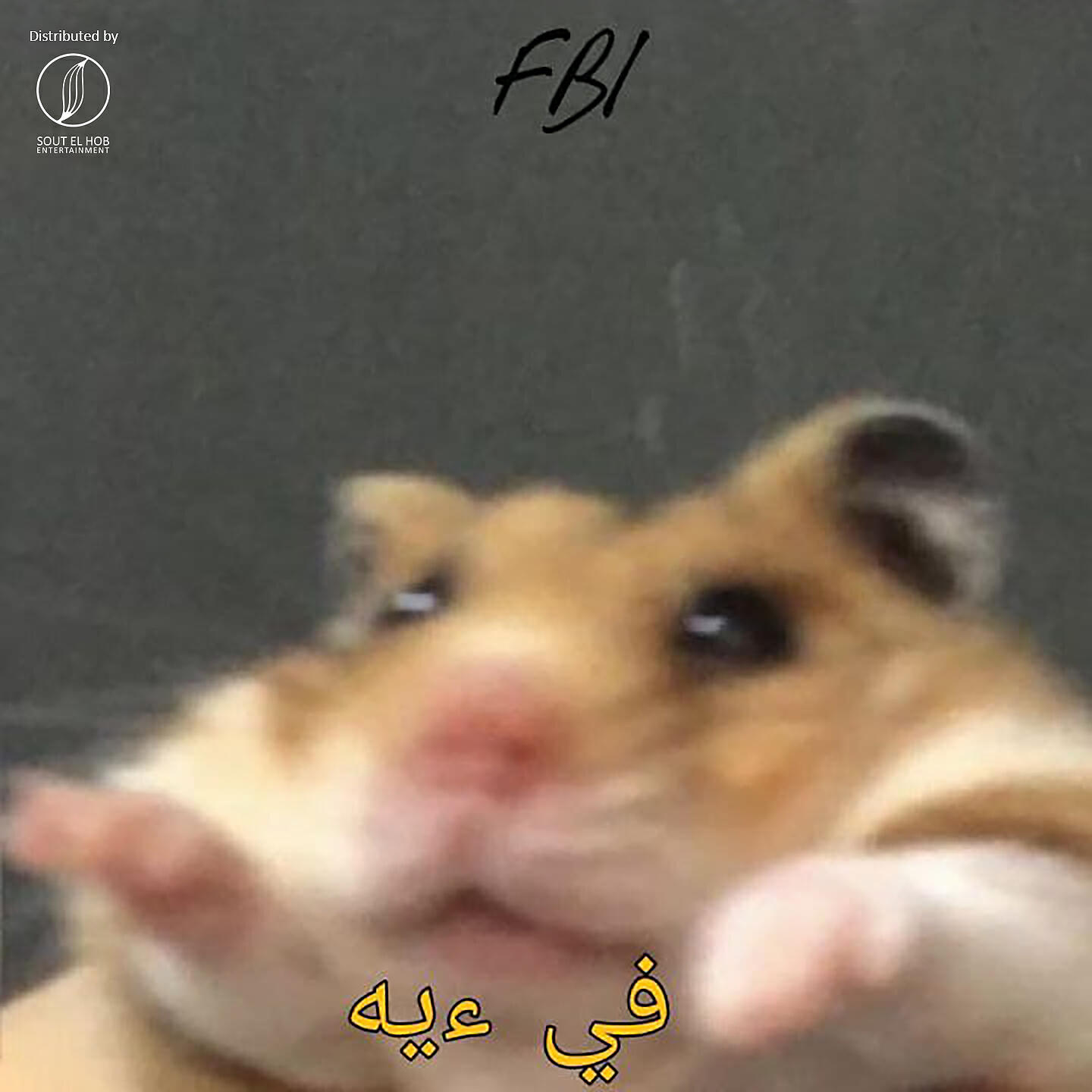 Релиз Fi 2eh