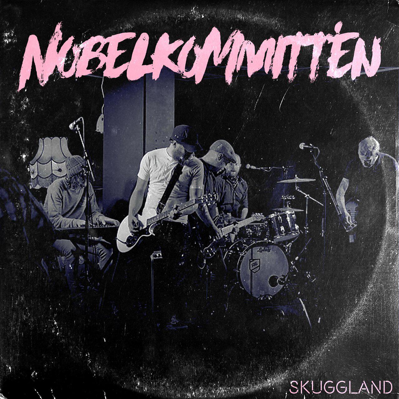 Релиз Skuggland