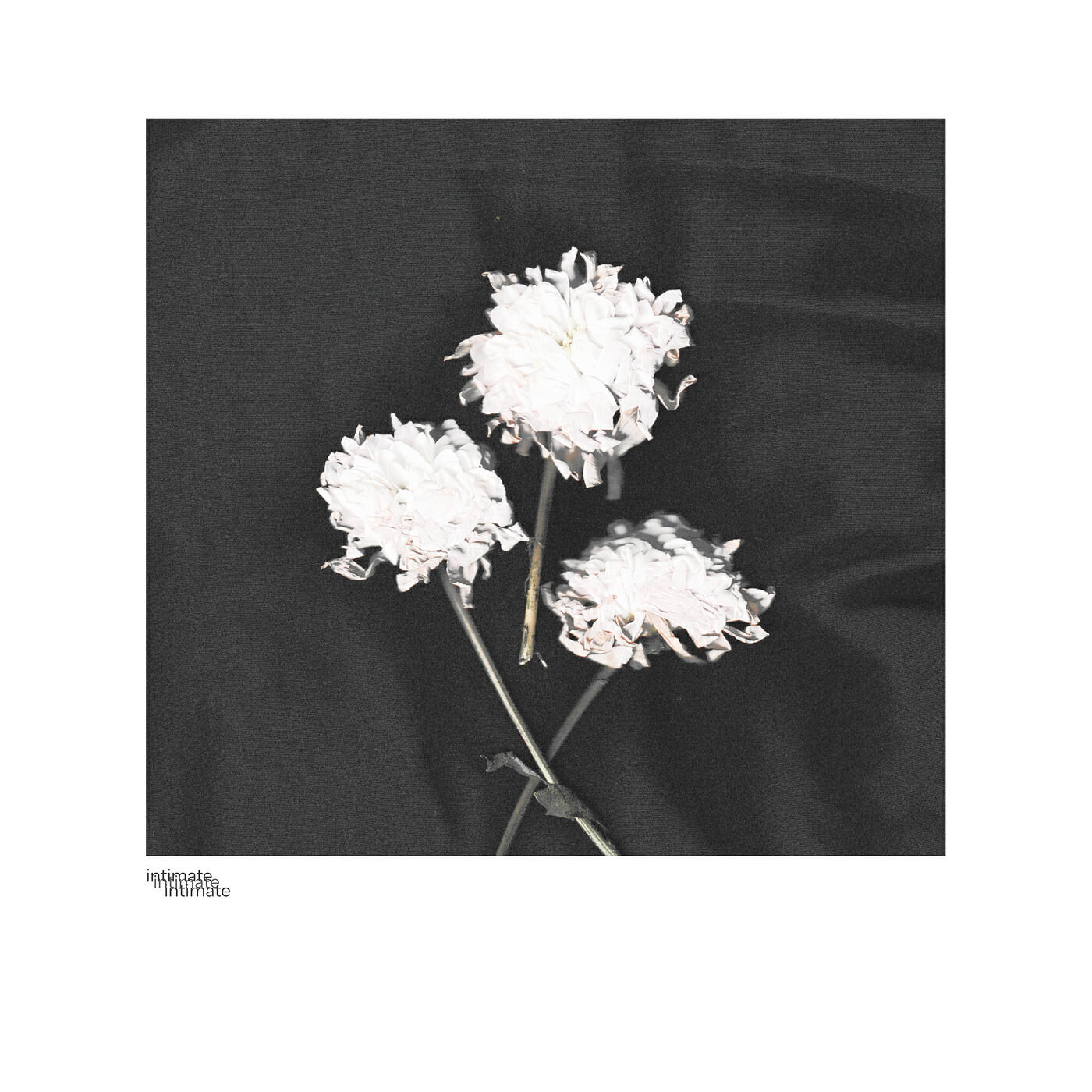 Релиз Intimate
