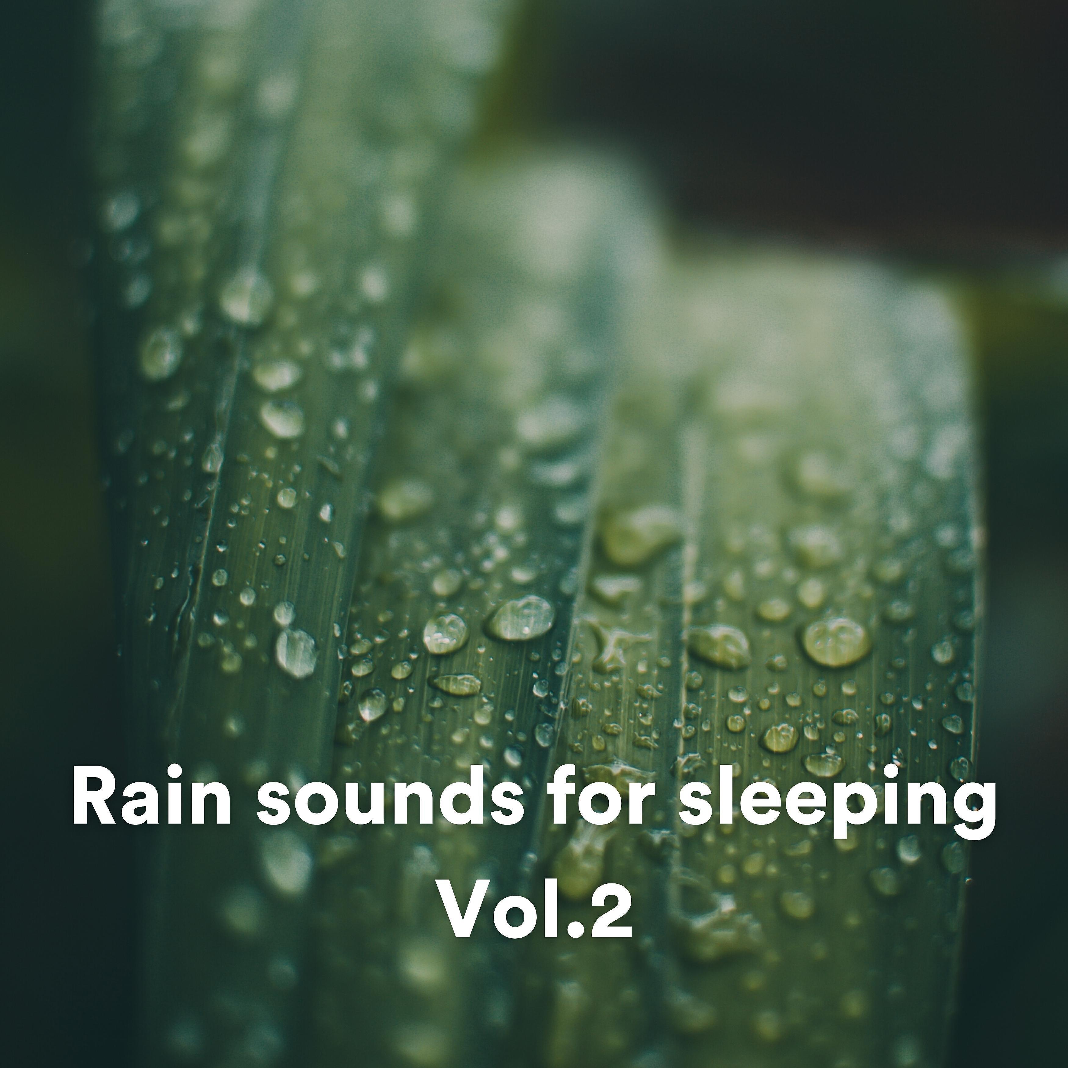 The Sound Of The Rain