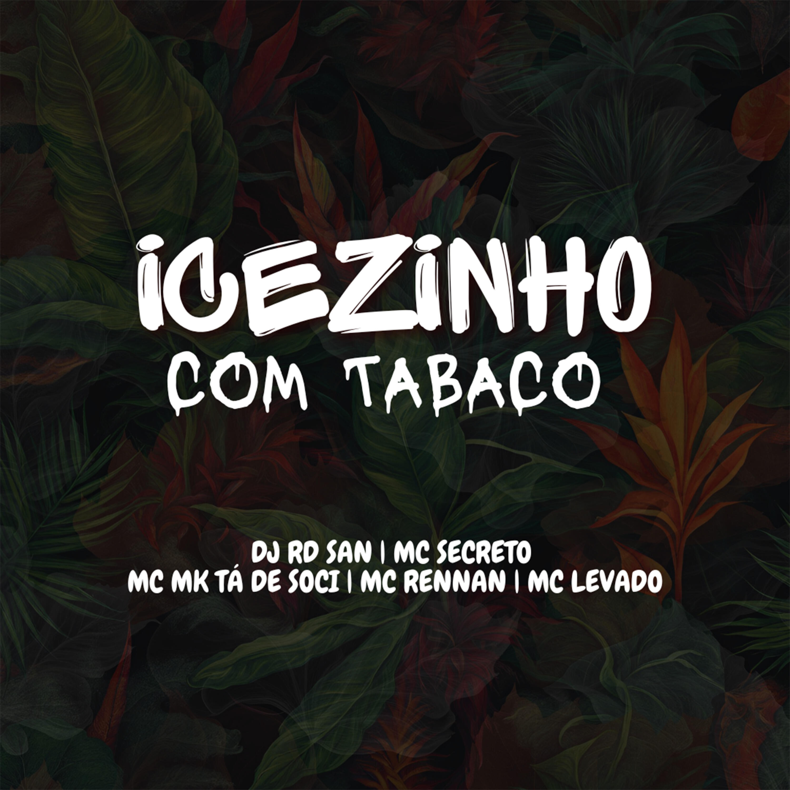 Скачать песню Dj Rd San, MC MK Tá de Soci, MC Rennan - Icezinho Com Tabaco бесплатно в MP3 для Android и iOS
