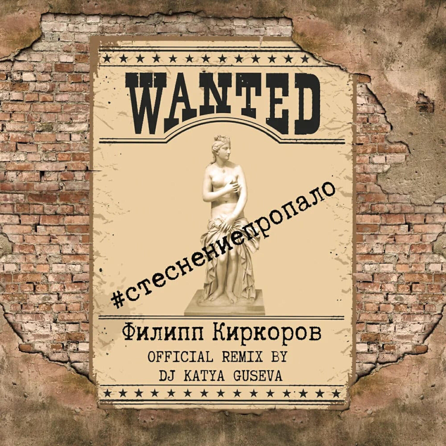 Релиз Стеснение пропало (DJ Katya Guseva Remix)