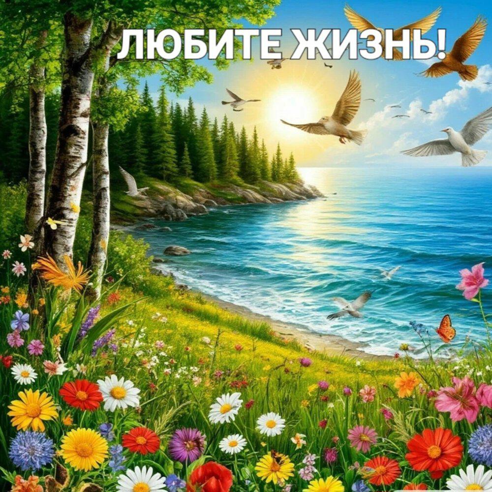 Релиз Любите жизнь!