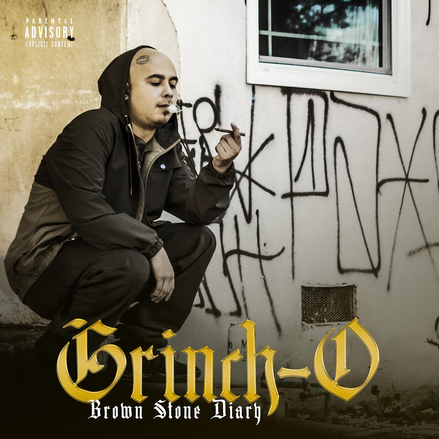 Релиз Brown Stone Diary