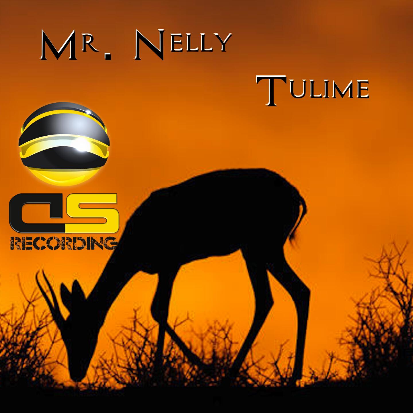 Релиз Tulime