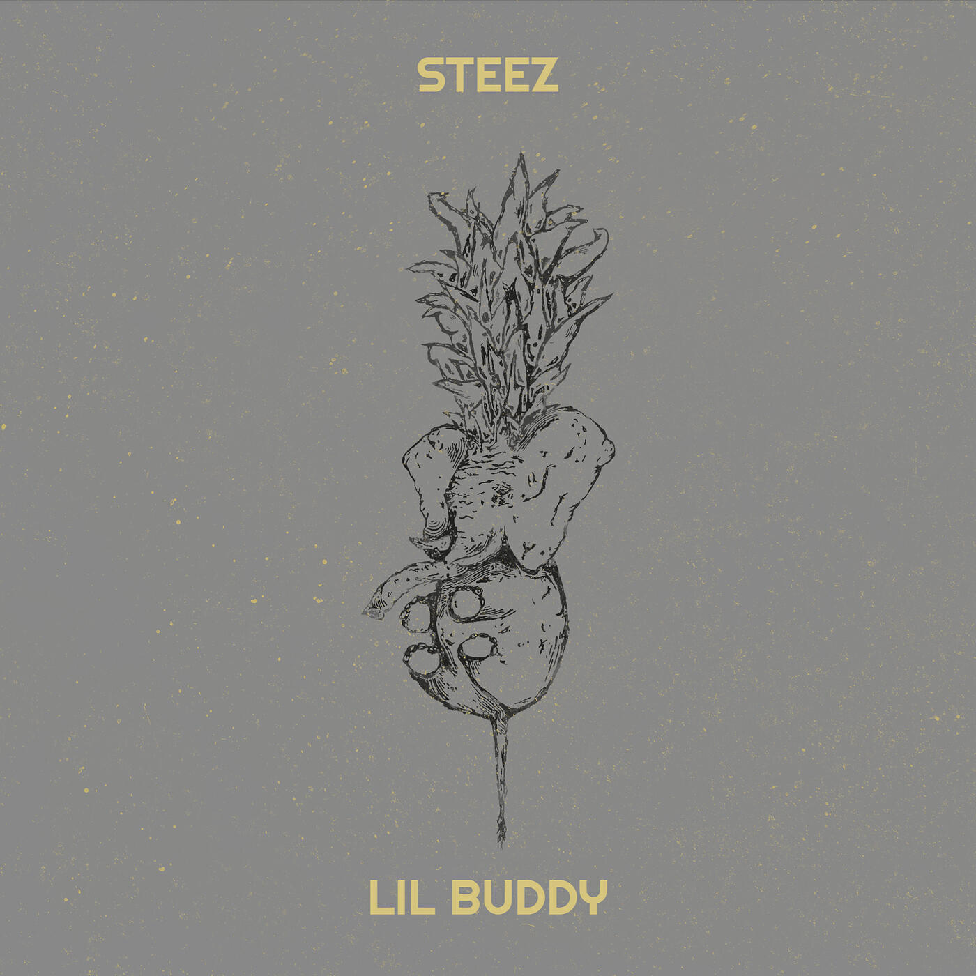 Релиз Steez