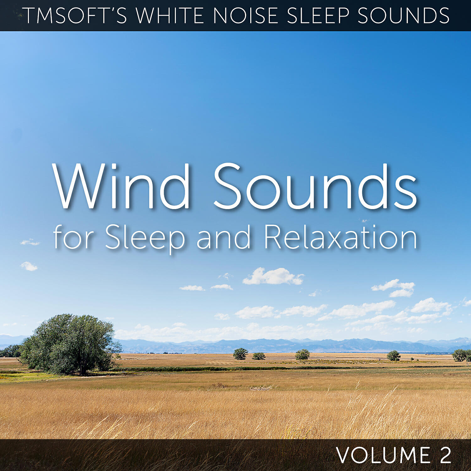 Релиз Wind Sounds for Sleep and Relaxation Volume 2