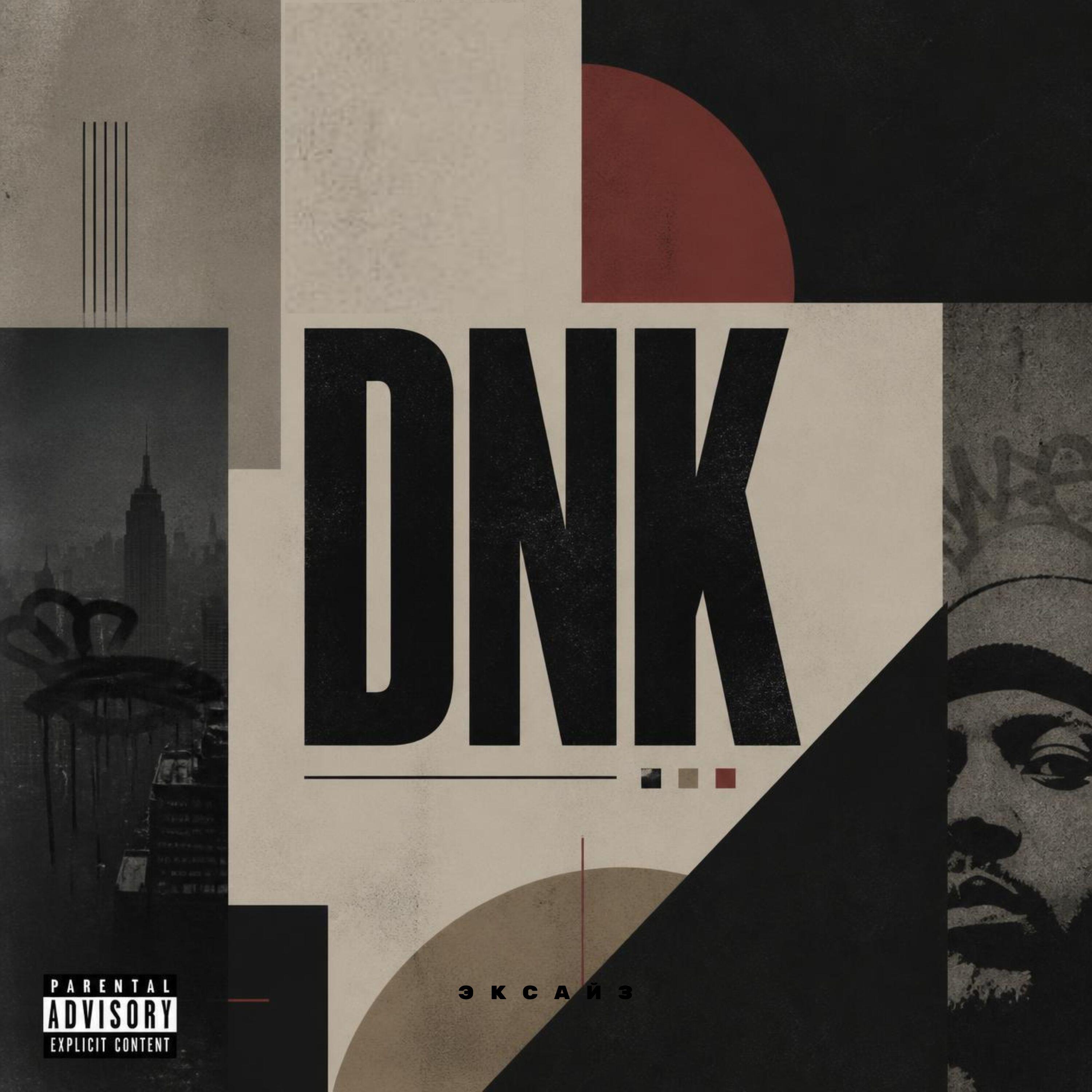 Релиз DNK