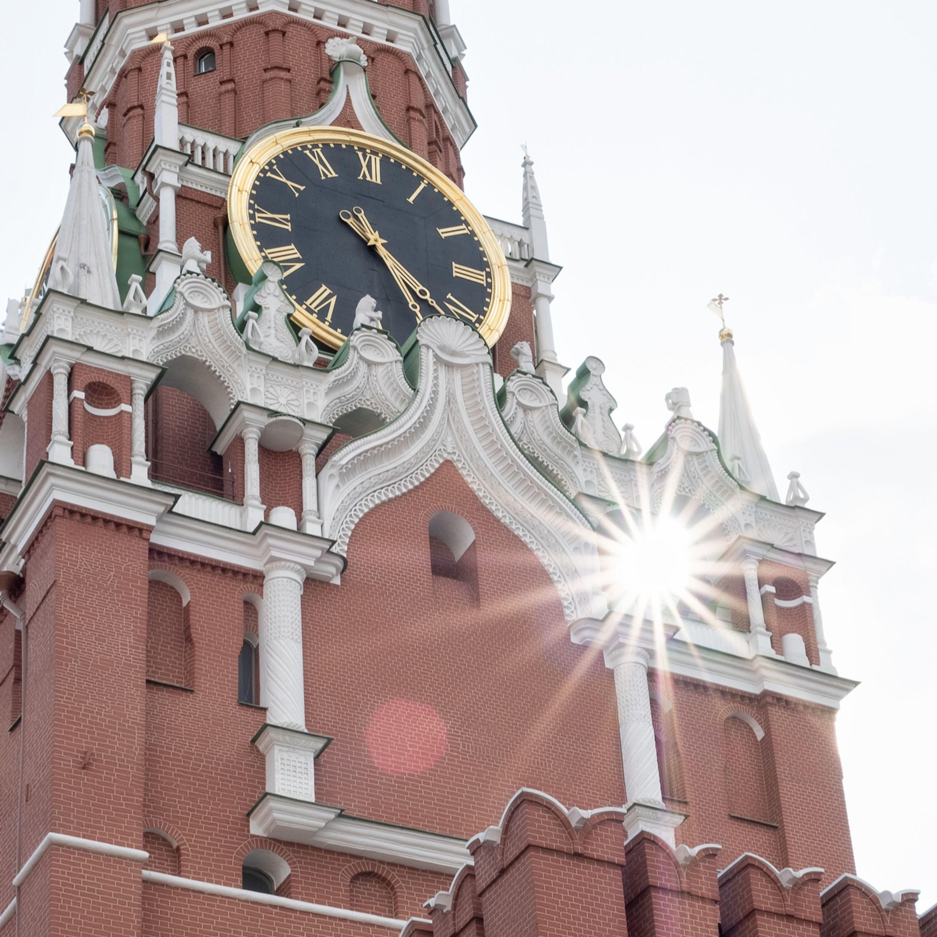Группа «Птицы»