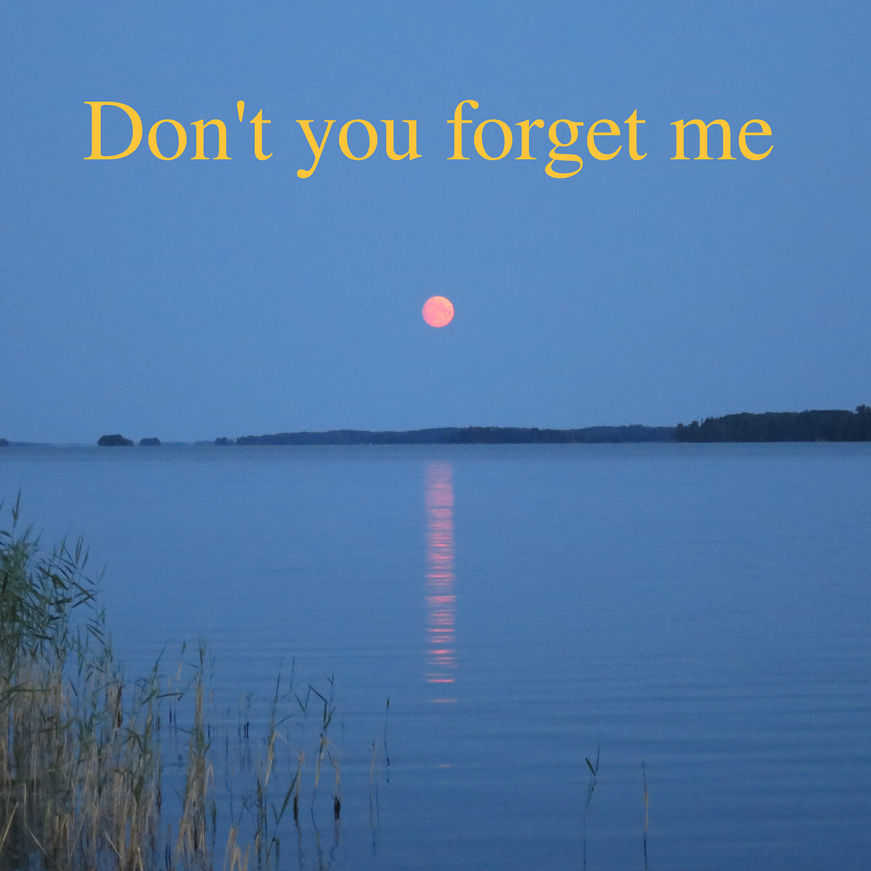 Трек Don´t You Forget Me