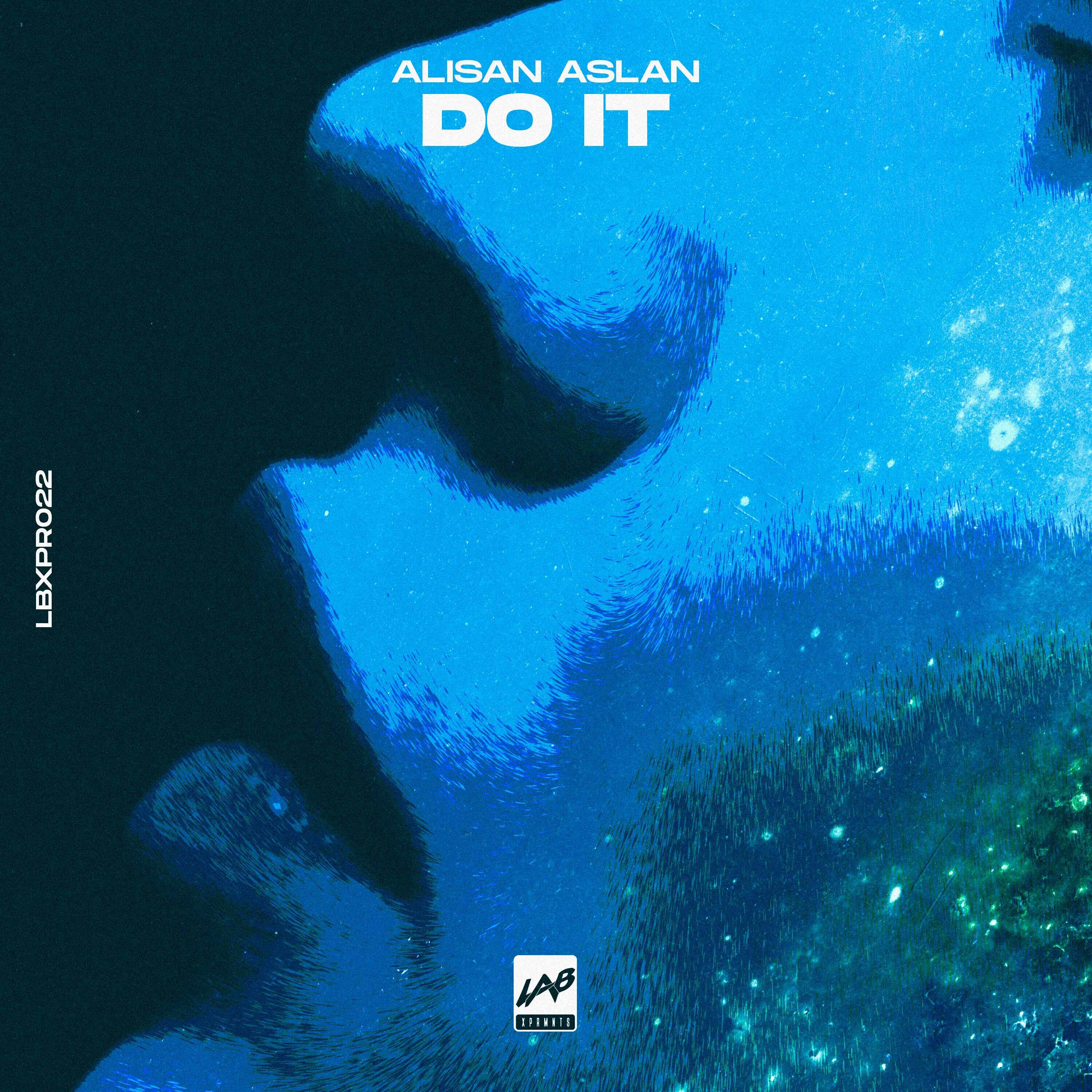 Релиз Do It