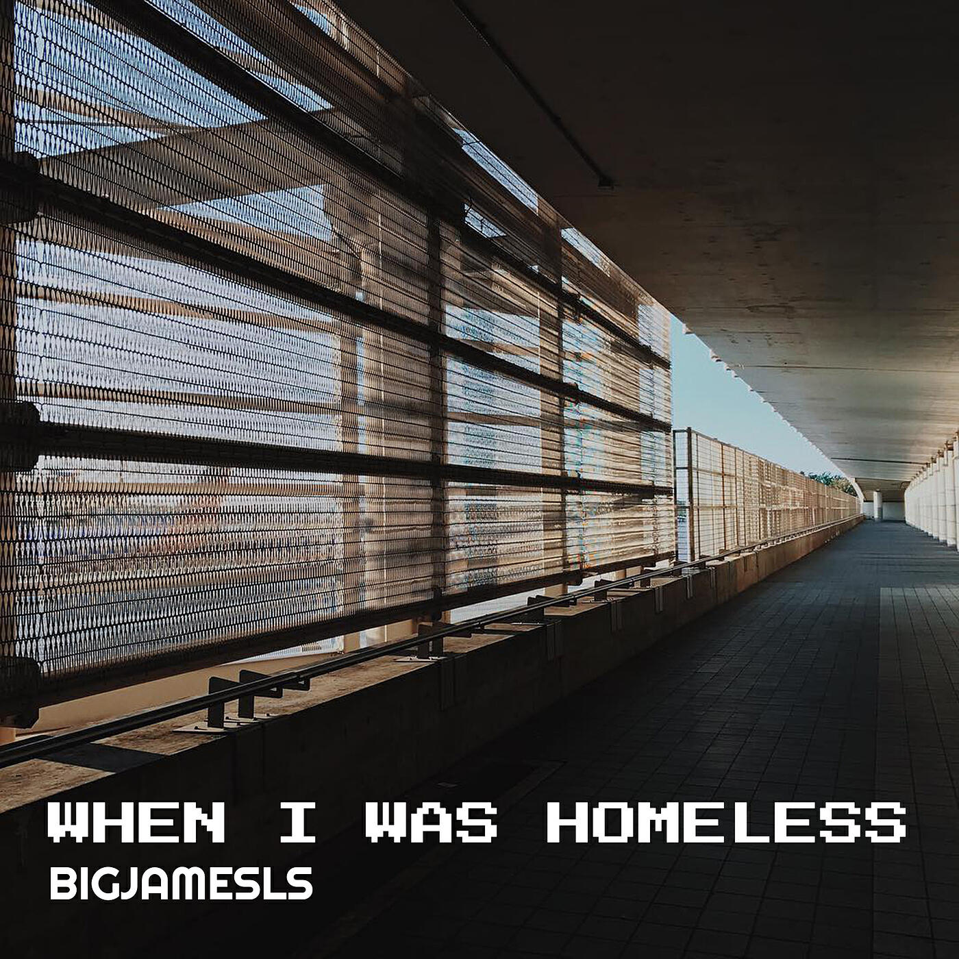 Релиз When I Was Homeless