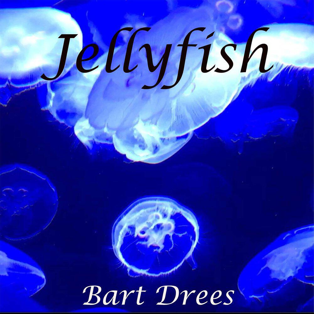 Релиз Jellyfish