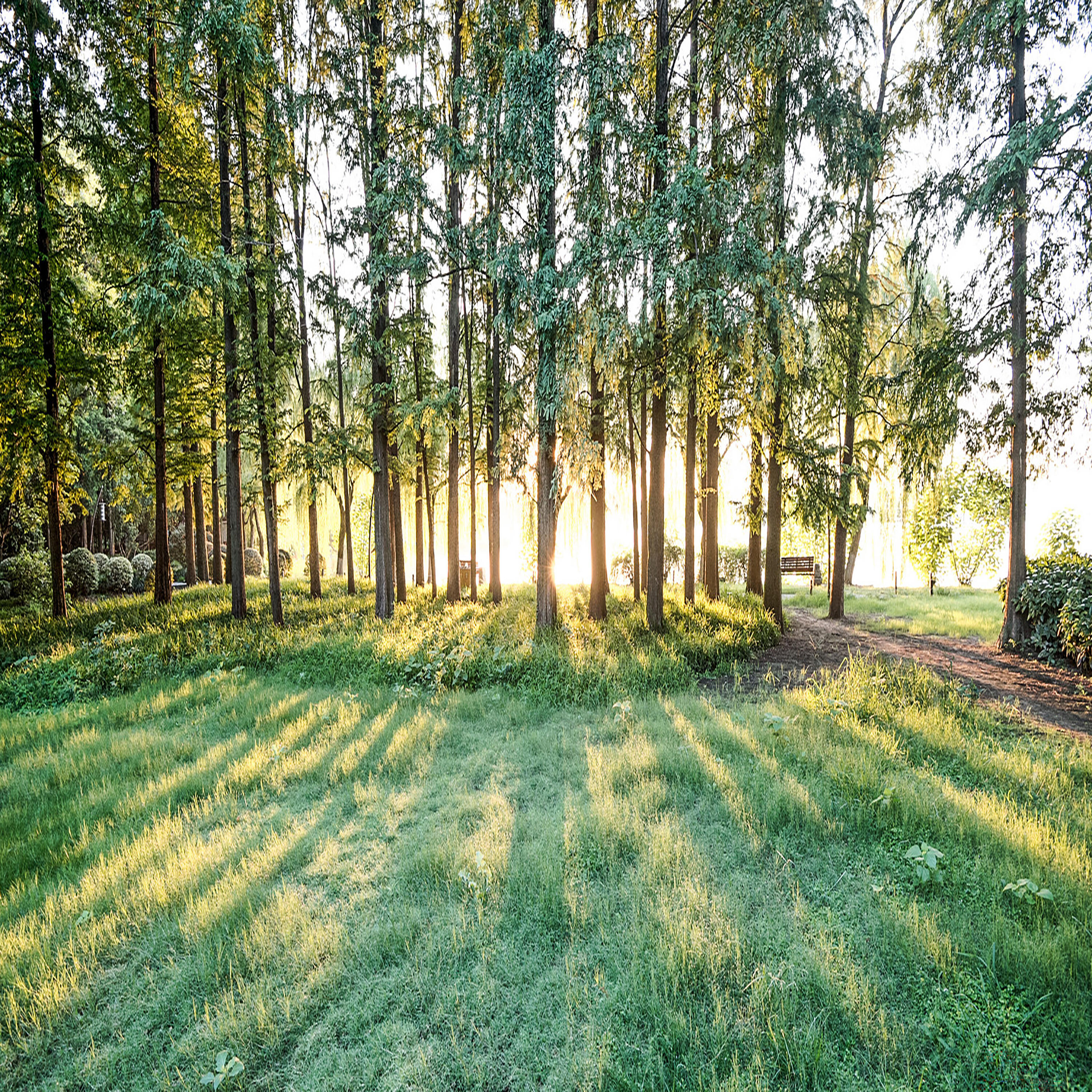 殷玉霞