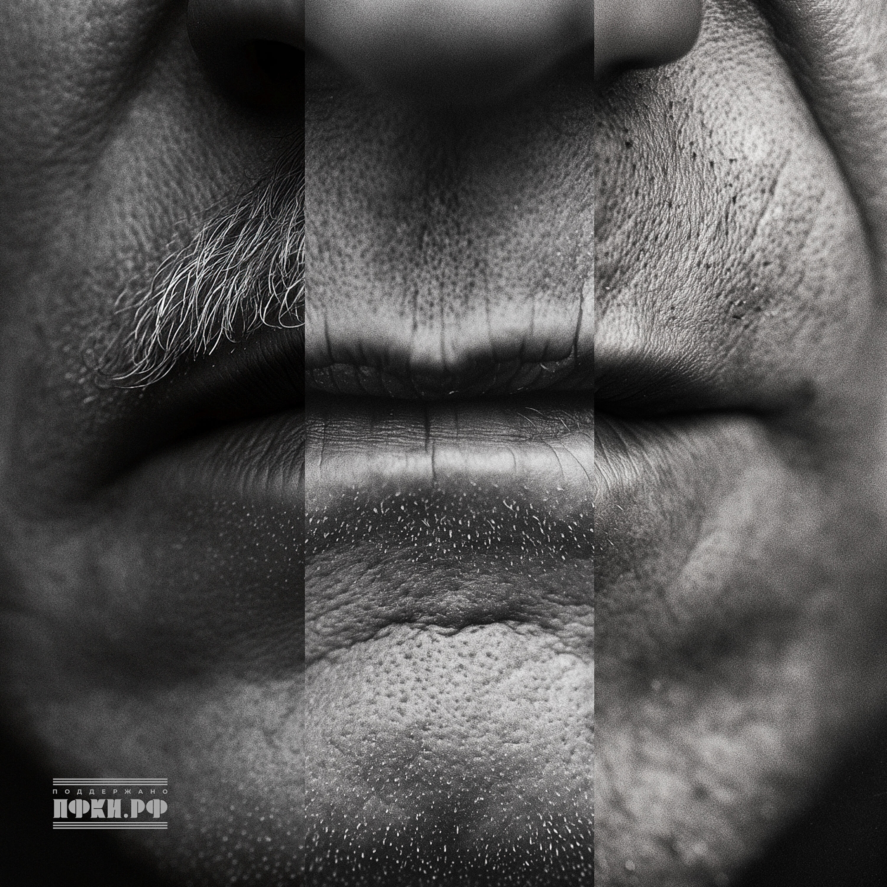 Рэп Взвод, 25/17, ДПНГ - Вокабуляр