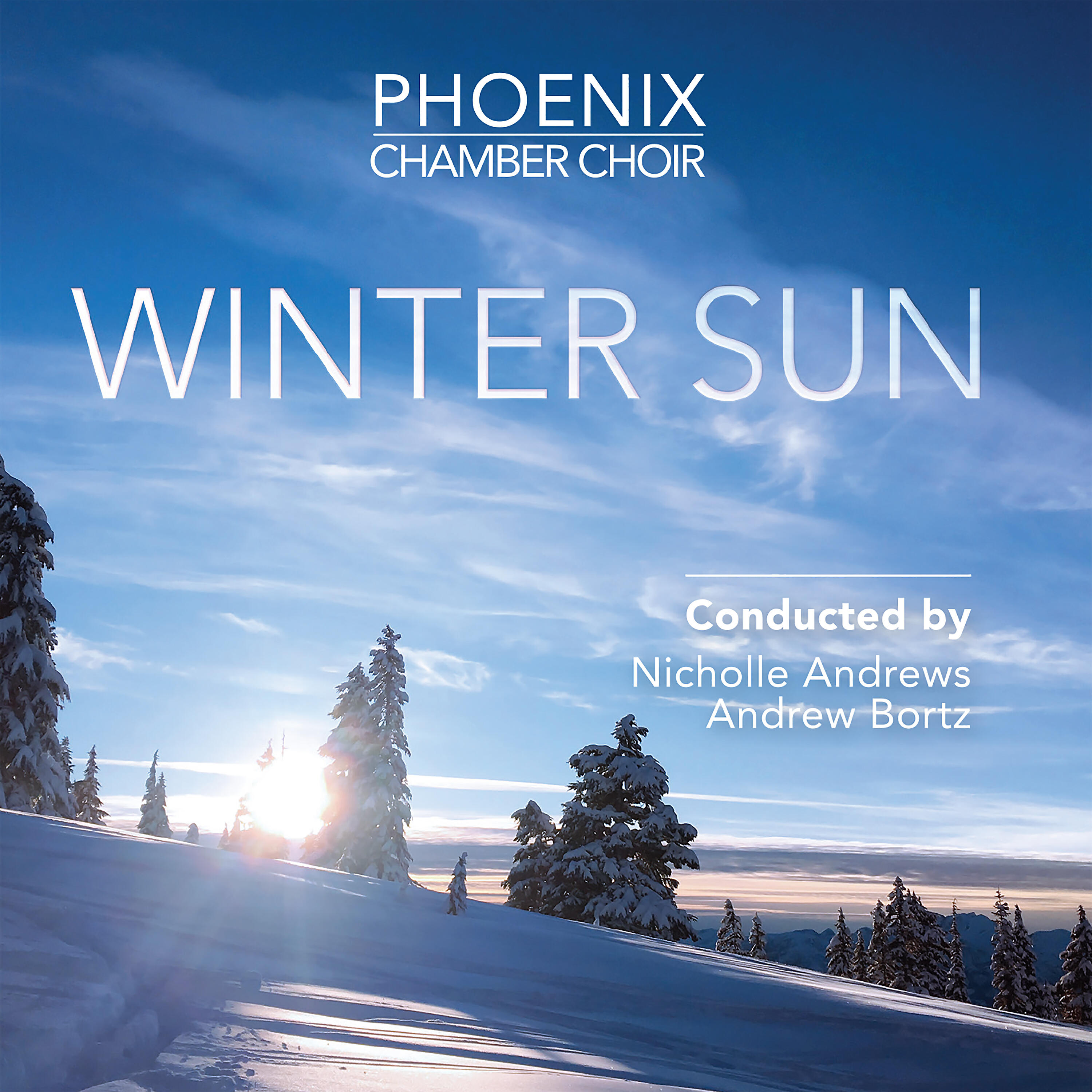 Постер альбома Winter Sun