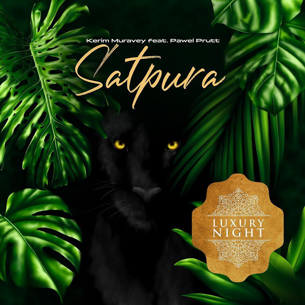 Релиз Satpura