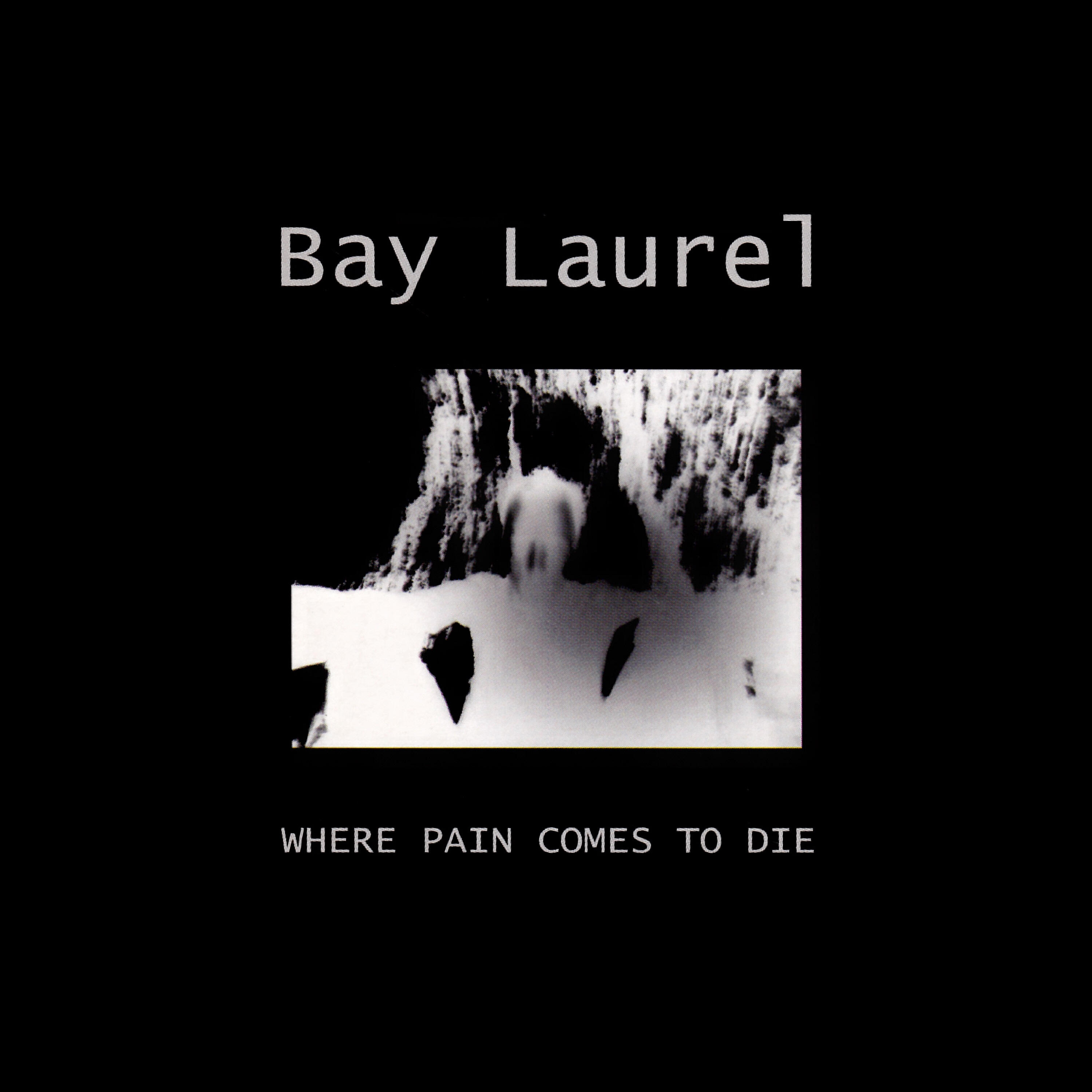 Релиз Where Pain Comes to Die