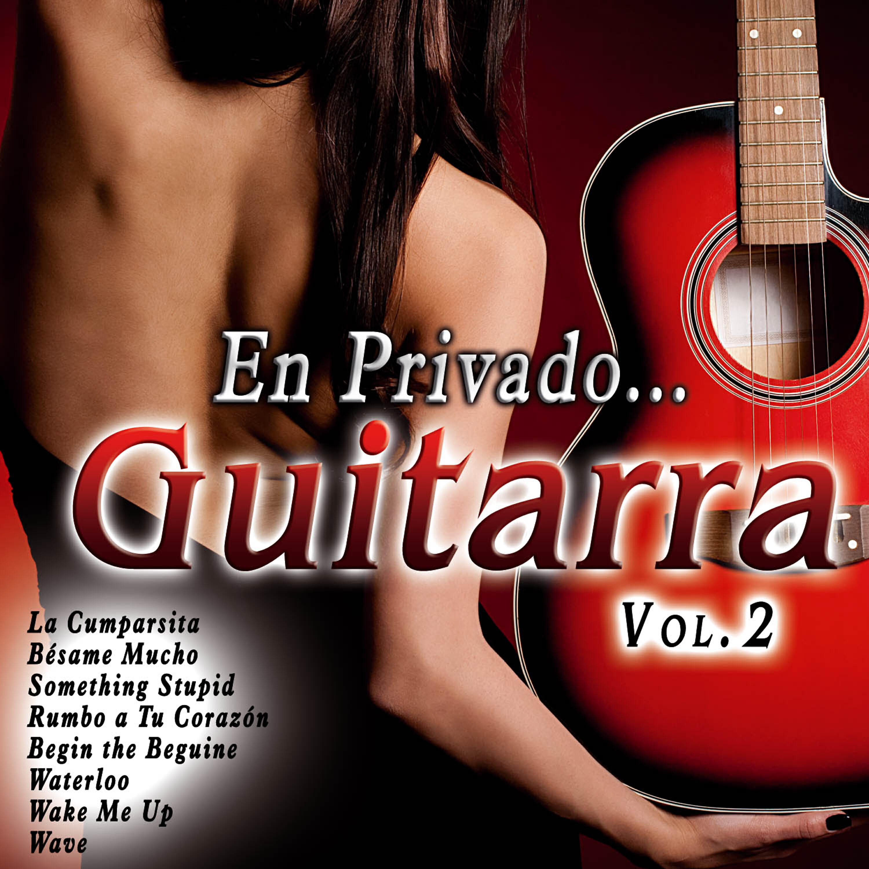 Релиз En Privado... Guitarra Vol. 2