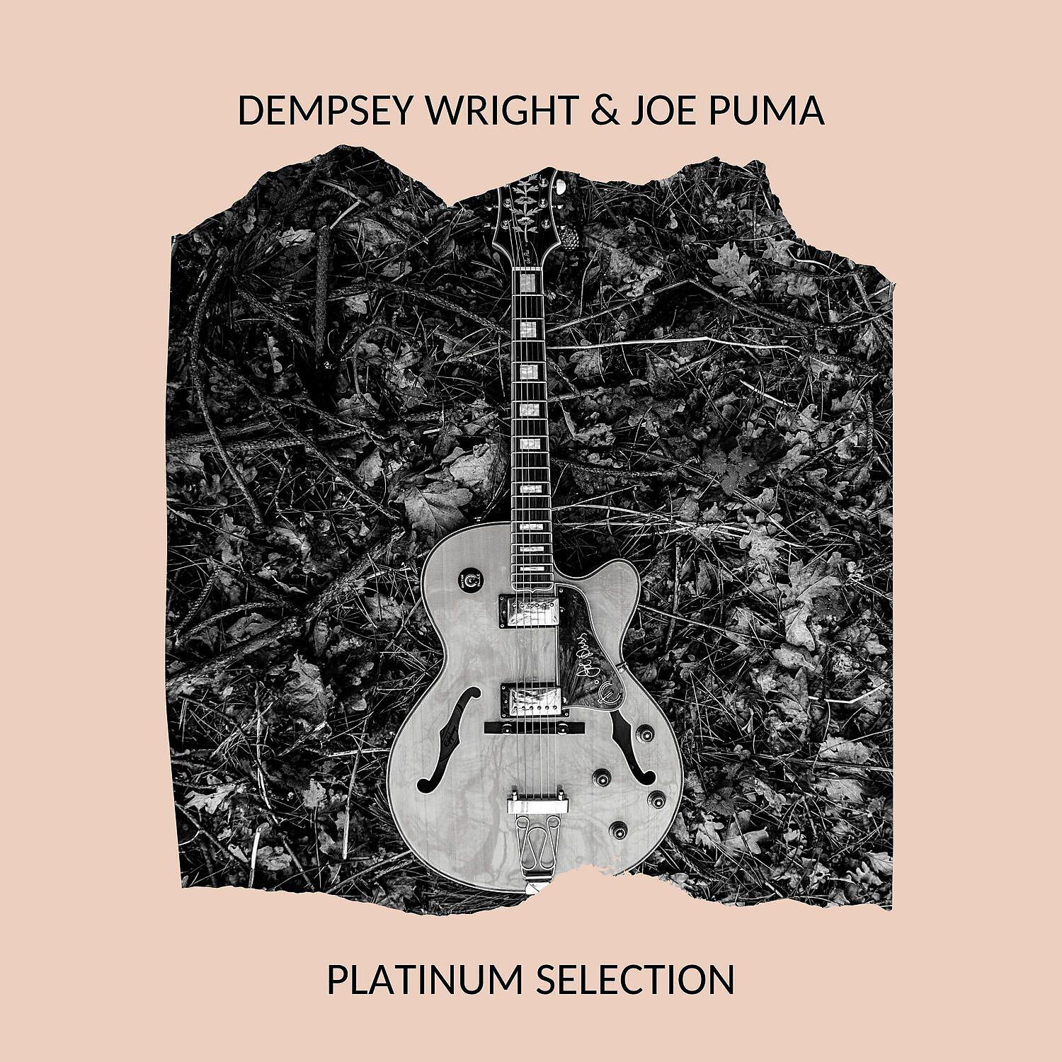 Релиз Dempsey Wright & Joe Puma - Platinum Selection
