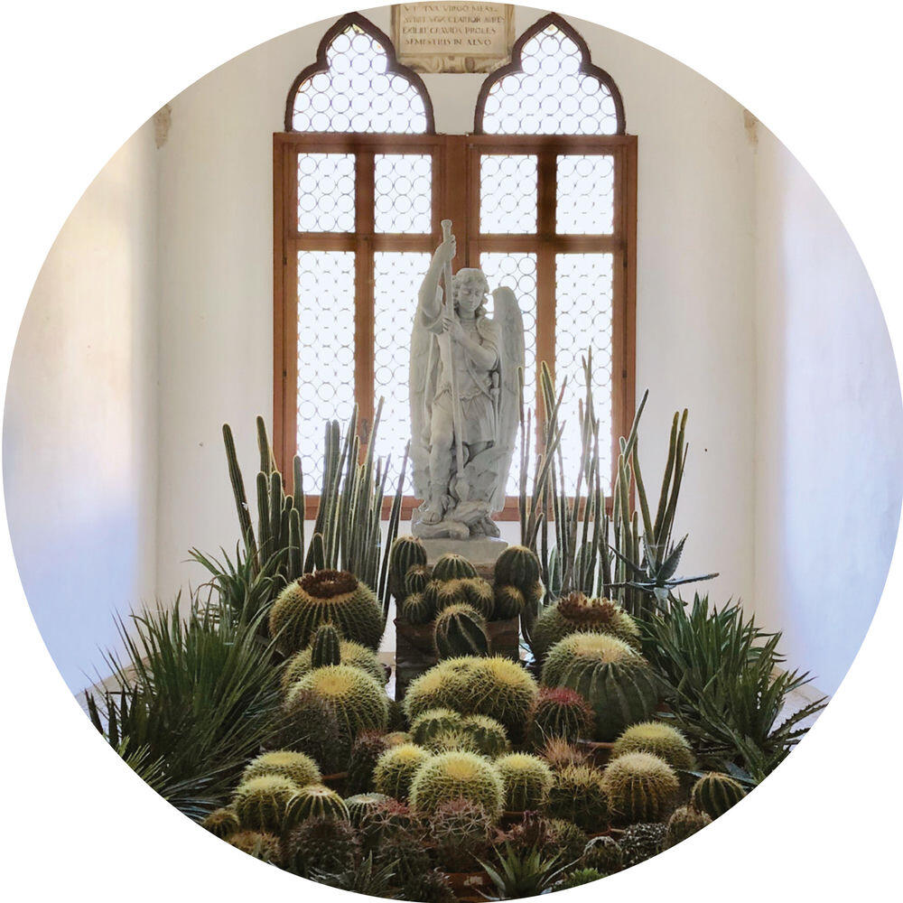 Релиз San Pedro