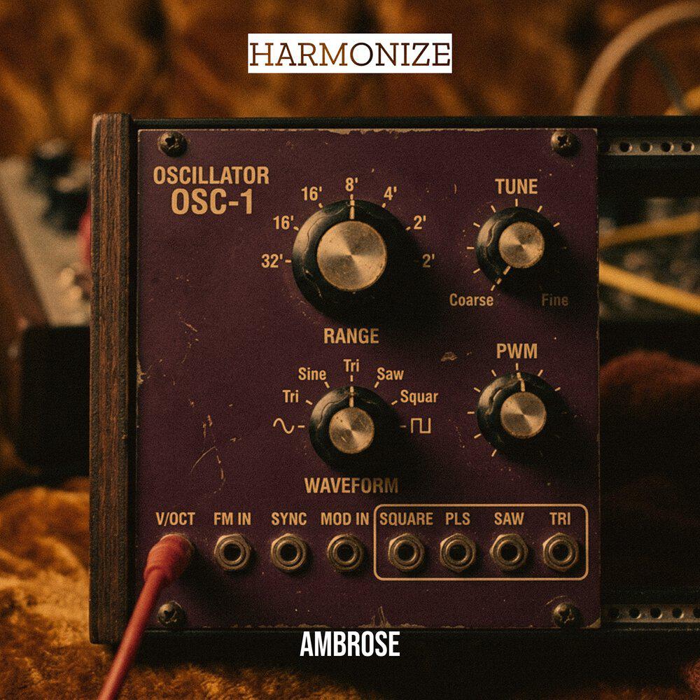 Релиз HARMONIZE
