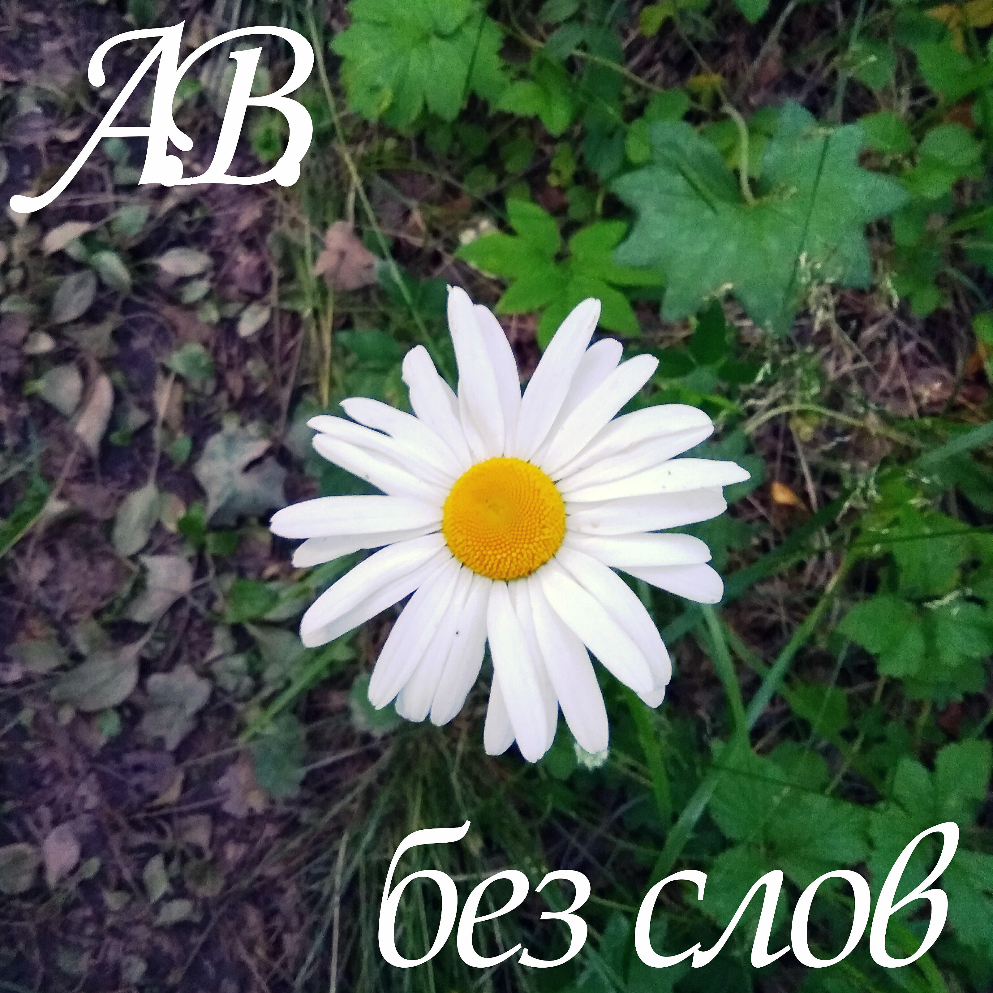 Релиз Без слов