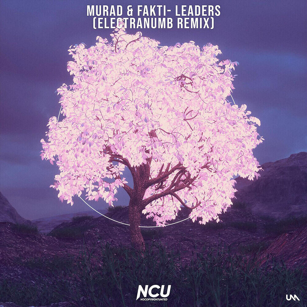 Релиз Leaders