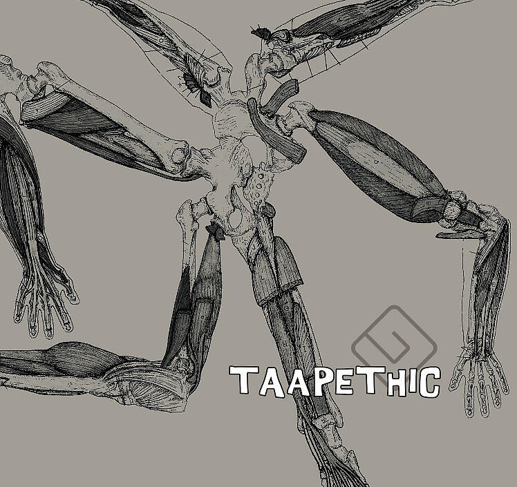 Taapet