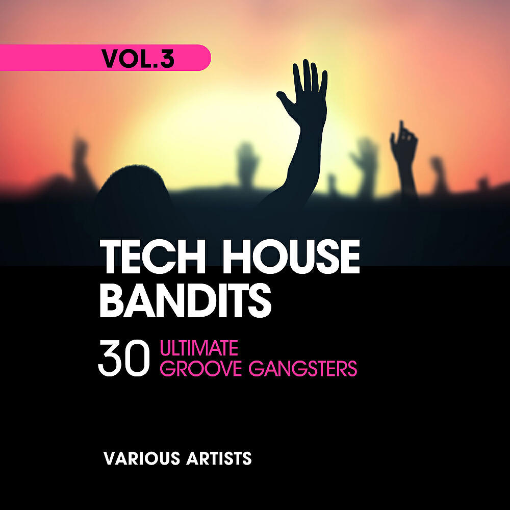 Релиз Tech House Bandits (30 Ultimate Groove Gangsters), Vol. 3