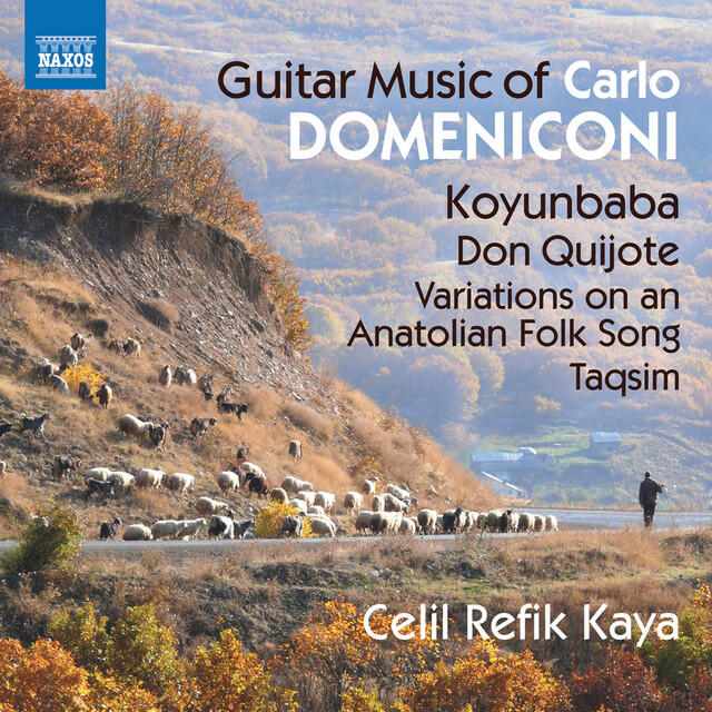 Релиз Domeniconi: Guitar Music