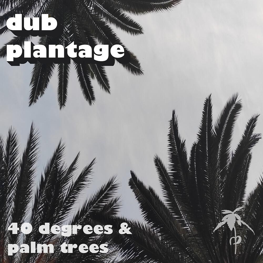 Релиз 40 Degrees and Palm Trees