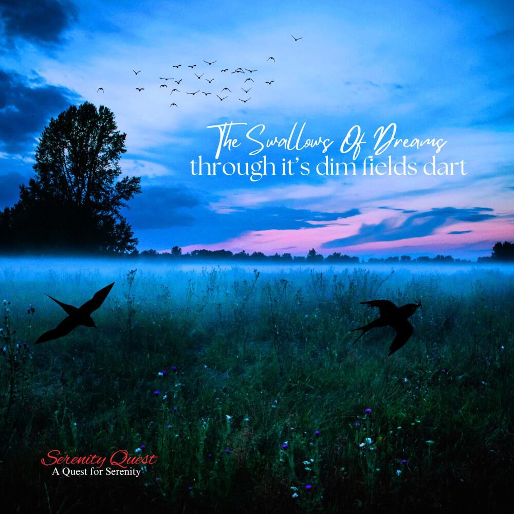 Релиз The Swallows Of Dreams Through It’s Dim Fields Dart