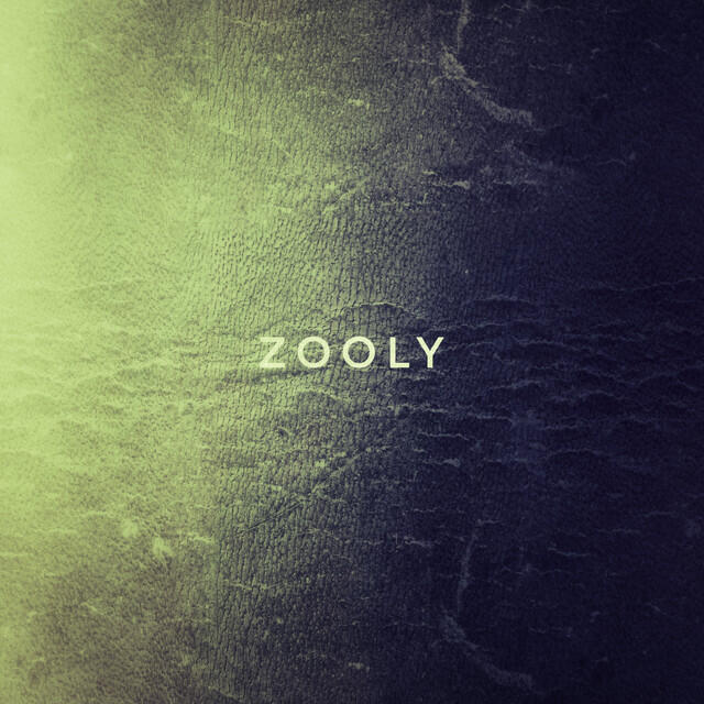 Постер альбома Zooly