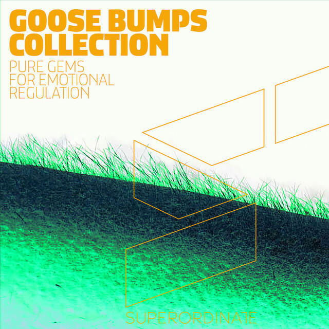 Релиз Goose Bumps Collection