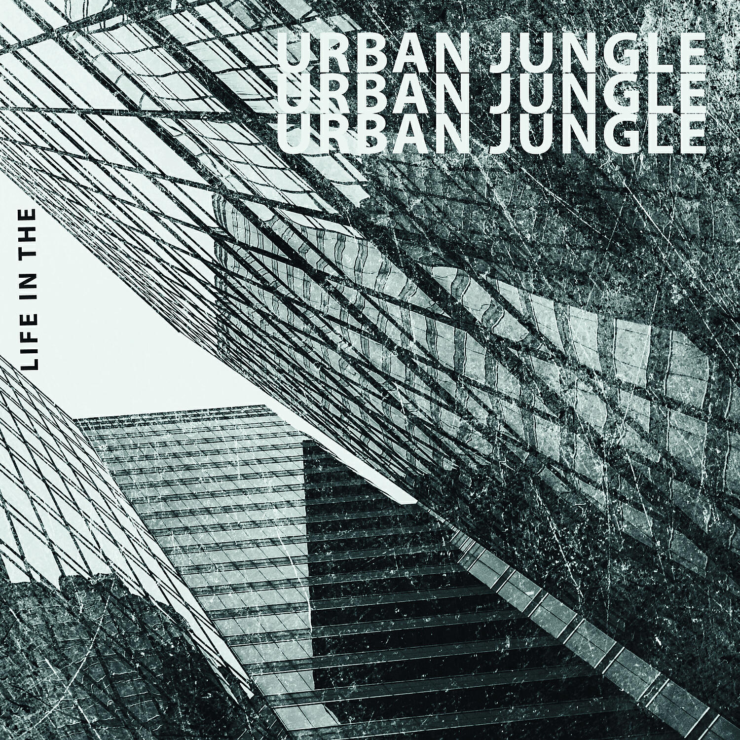 Релиз Life in the Urban Jungle
