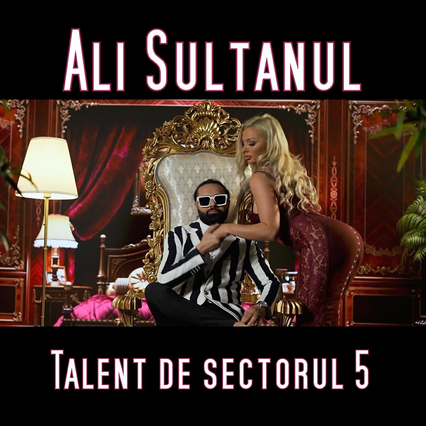 Релиз Talent de sectorul 5