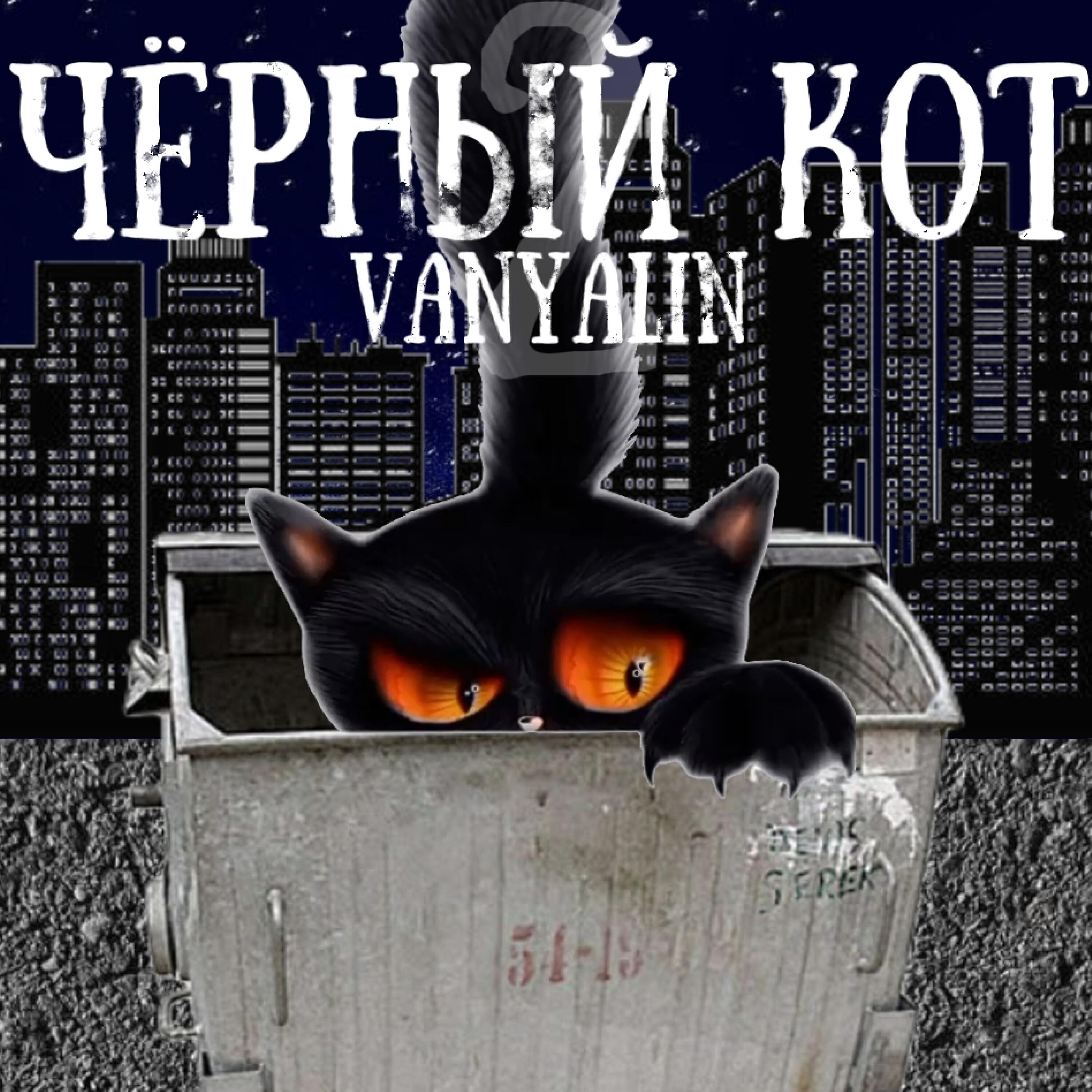 Релиз Чёрный кот 2