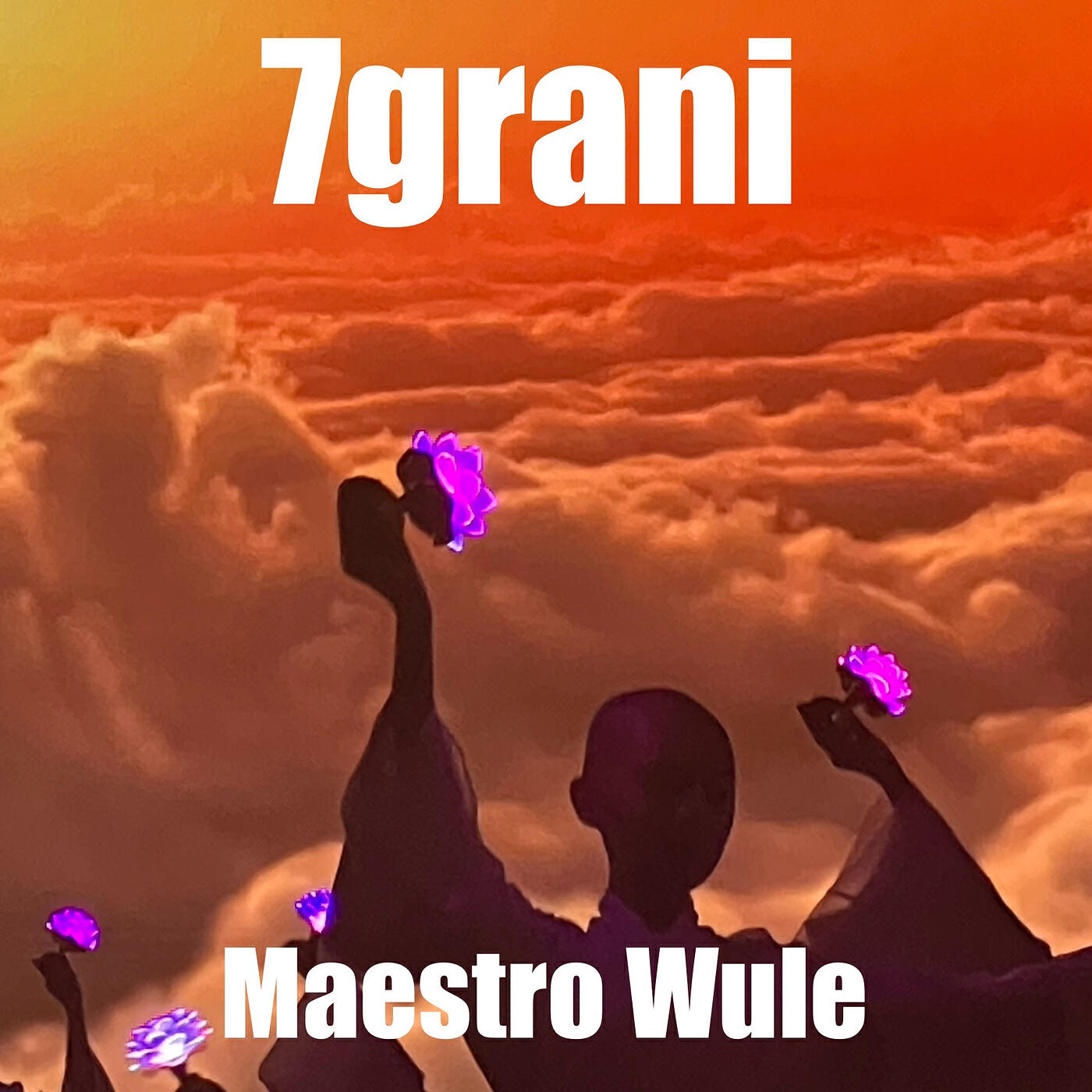 Релиз Maestro Wule