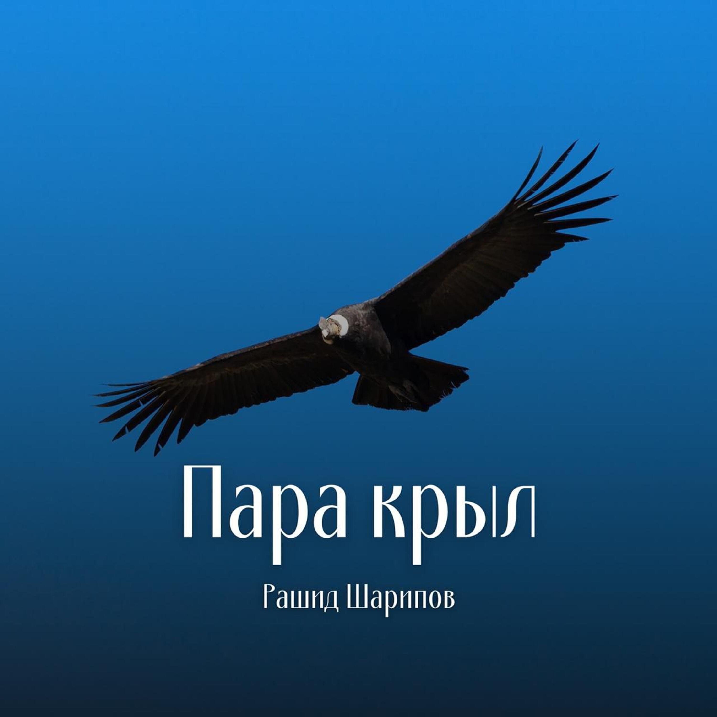 Релиз Пара крыл