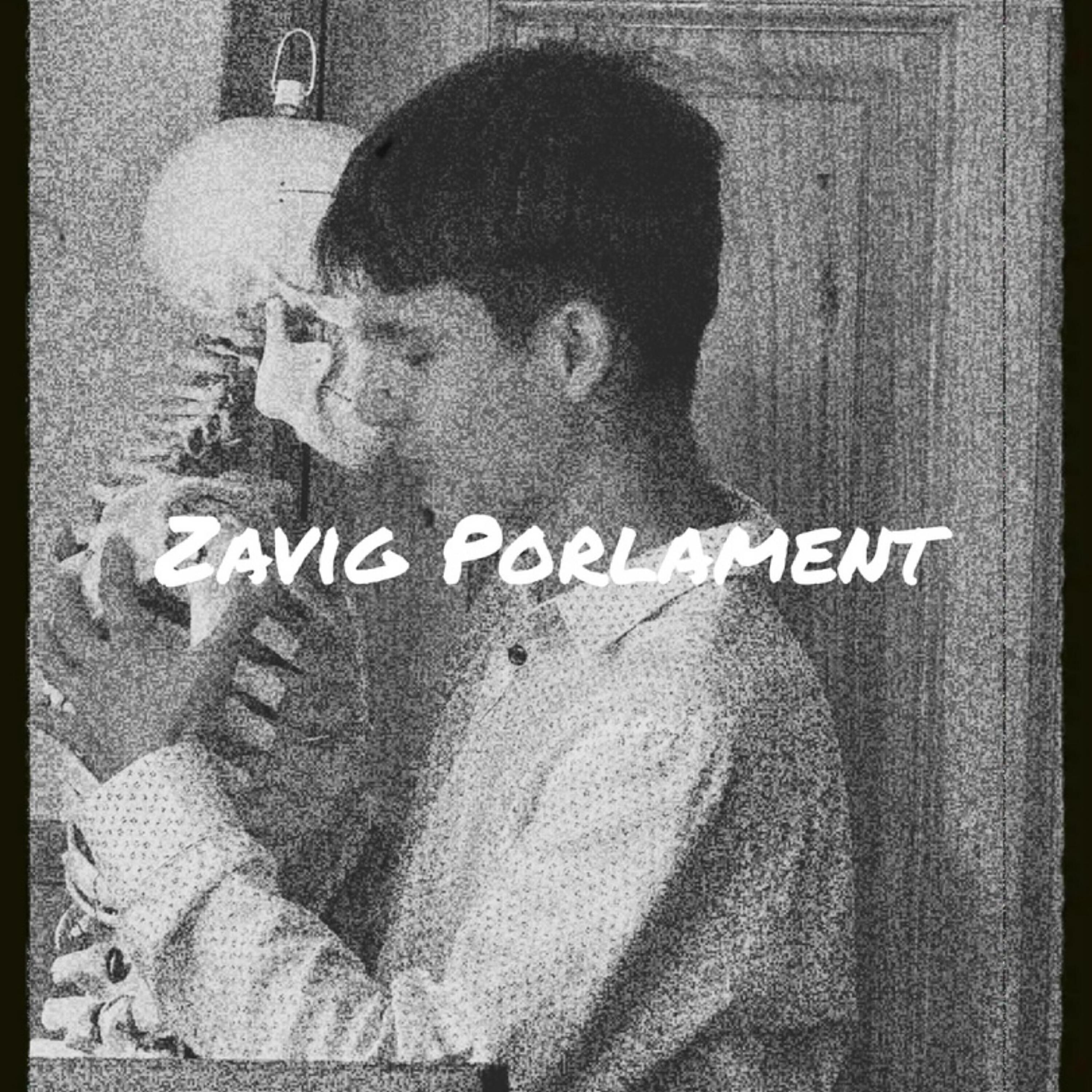 Zavig Porlament