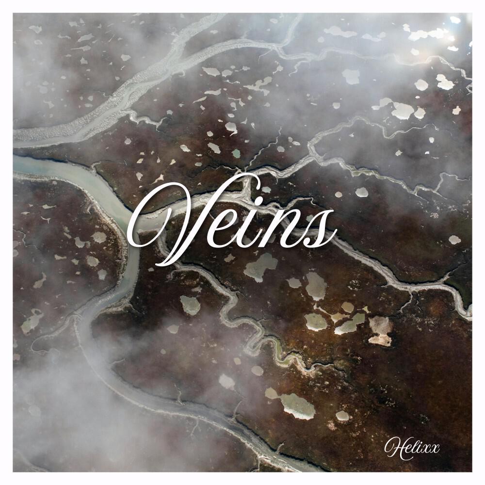 Релиз Veins