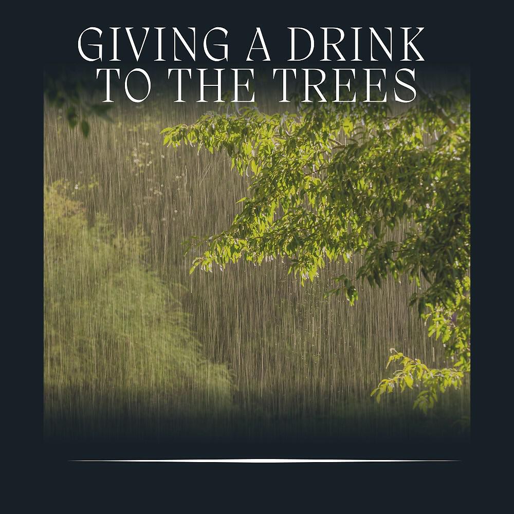 Релиз Giving a Drink to the Trees